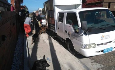 La Paloma: este año se realizaron 144 esterilizaciones