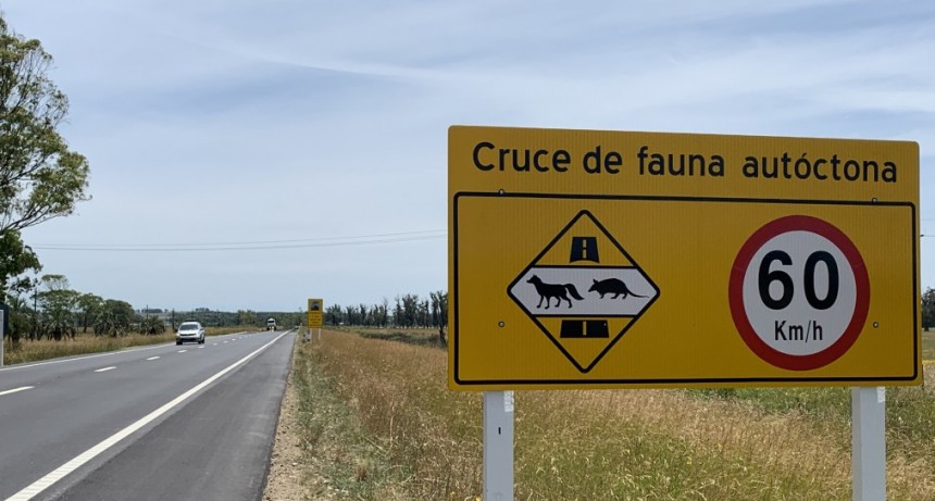 Tu ruta es mi ruta