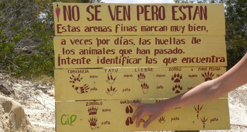 Auxilio a los animales silvestres