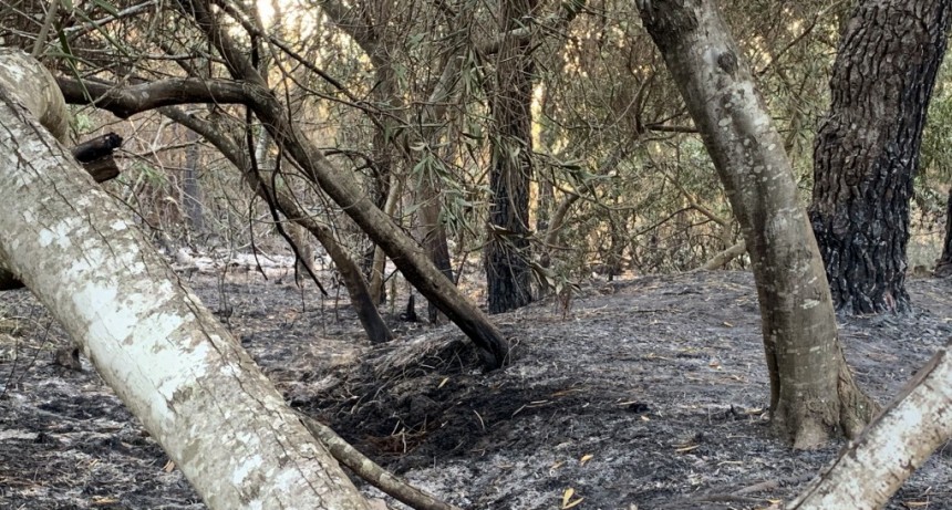 Un detenido por el incendio en Santa Isabel