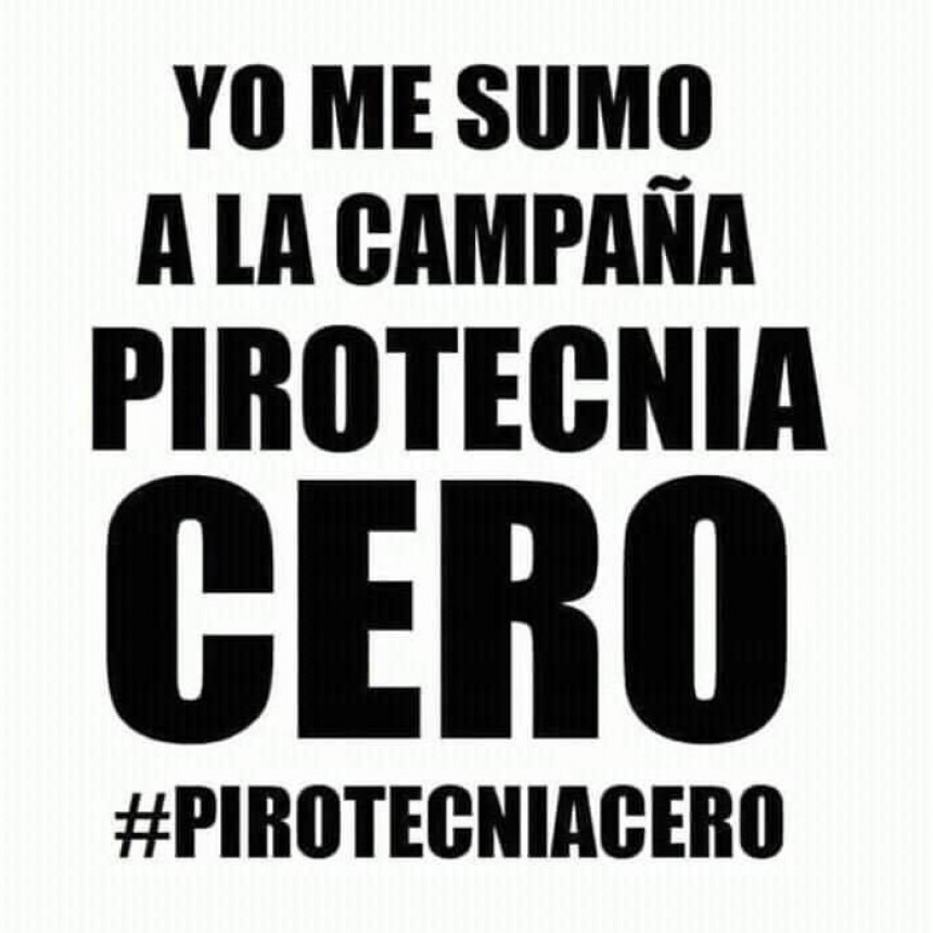 Vecinos juntan firmas para que se prohiba la venta y uso de pirotecnia 