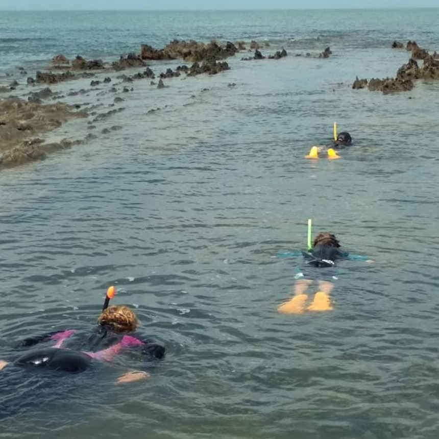 Una experiencia distinta: snorkel y paseos en bote a pedal 