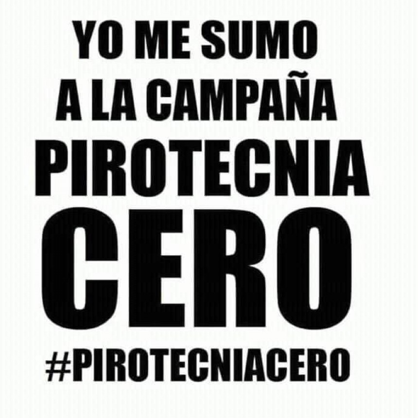 Pirotecnia cero: entregaron cerca de 600 firmas 