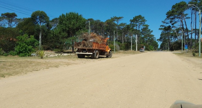 El Municipio de La Paloma no retirará más poda o ramas