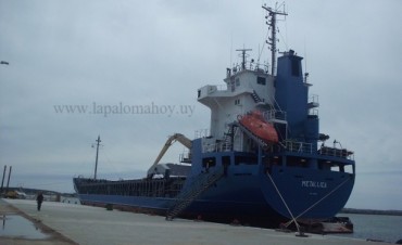 MTOP niega que el dragado en el puerto esté contaminando