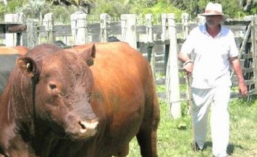 Sigue cambiando la Matriz Productiva de Rocha