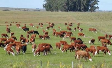 Ganaderos elaboran planes estratégicos de adaptación a cambio climático