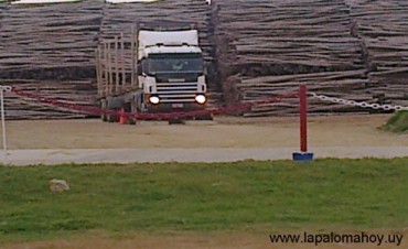 ¿Sale o no sale el primer embarque de madera del puerto de La Paloma?