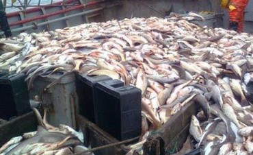 Defensa está investigando a la Armada por la captura de pesqueros brasileños frente a costas de Rocha