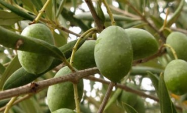 Se necesita personal 